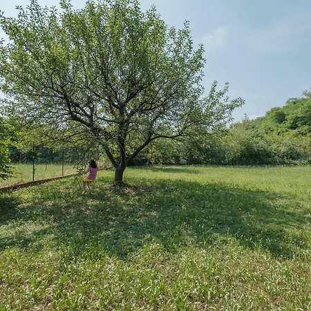 Holiday House San Quirico *