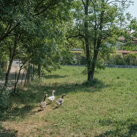 Holiday House San Quirico Holiday home *